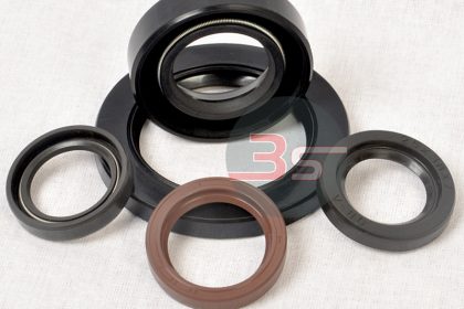 Oil Seals