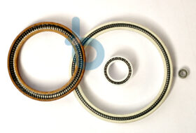 Spring Energized Seals