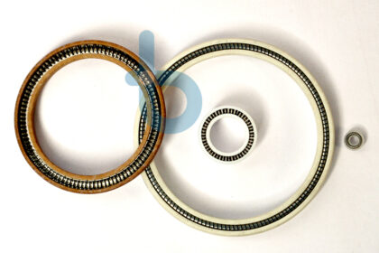 Spring Energized Seals