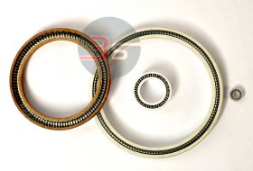 Spring Energized Seals