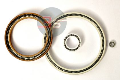 Spring Energized Seals